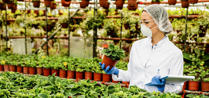 Eco-Labels and Vertical Farming Raise the Bar of Sustainability in the Food Industry